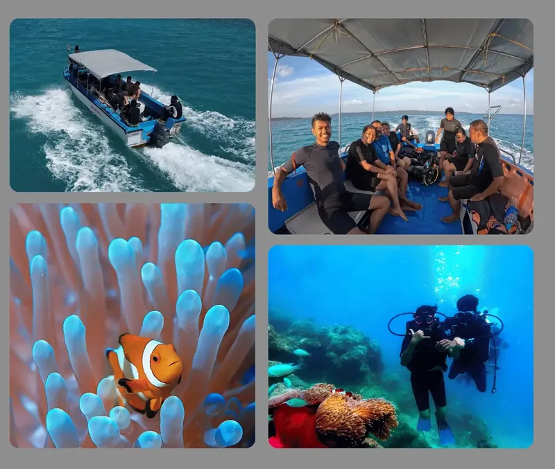 Plongée : bateau, plongeurs, poissons clown et récif corallien coloré