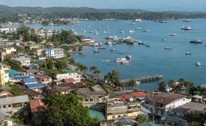 Vue aérienne d'une ville côtière avec de nombreux bateaux amarrés