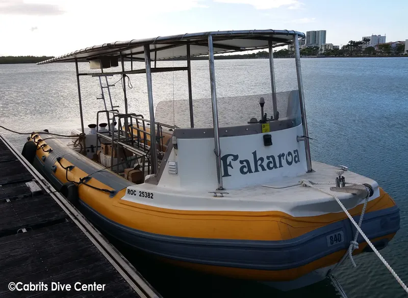 Bateau de plongée jaune et bleu amarré à un ponton en bois