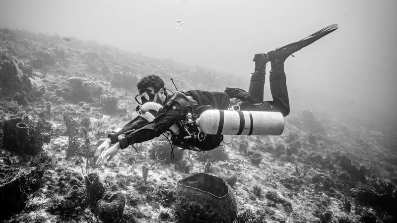 Plongeur en mouvement dans une eau trouble avec un fond rocheux