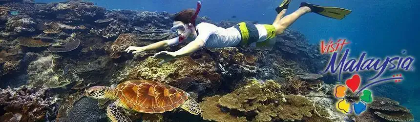 Plongeur nageant avec une tortue au milieu d'un récif corallien coloré