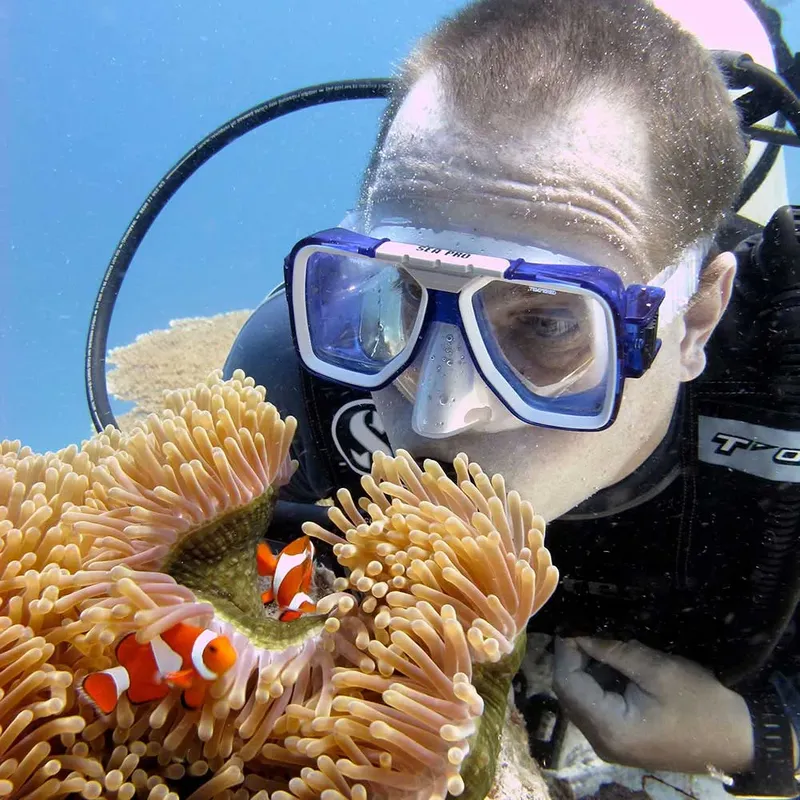 Plongeur face à face avec des poissons-clowns dans une anémone