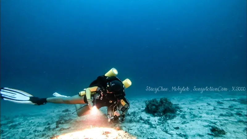 Plongeuse en exploration sous-marine, lumière artificielle, fond sablonneux et coraux