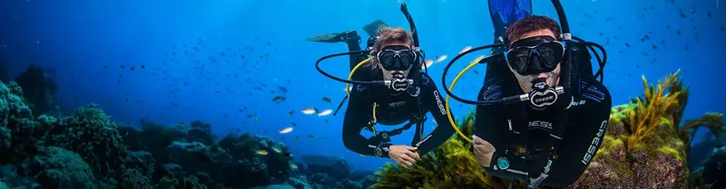 Deux plongeurs explorent un récifal corallien bleu et ensoleillé