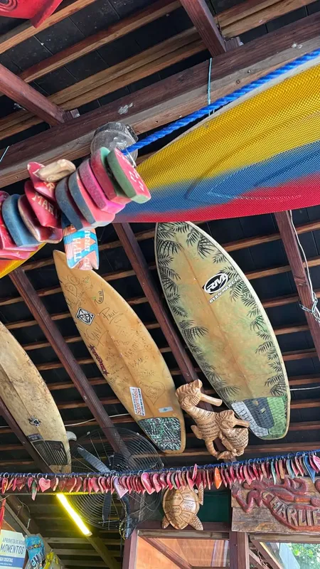 Planches de surf décoratives suspendues au plafond d'un espace extérieur