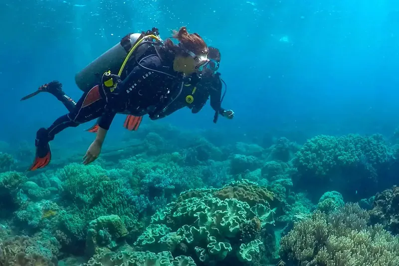 Plongeuse rousse explore un récifal corallien en apnée dans l'eau turquoise