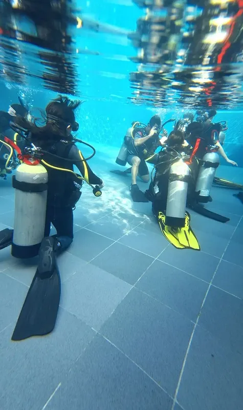 Groupe de plongeurs en formation dans une piscine, équipement complet