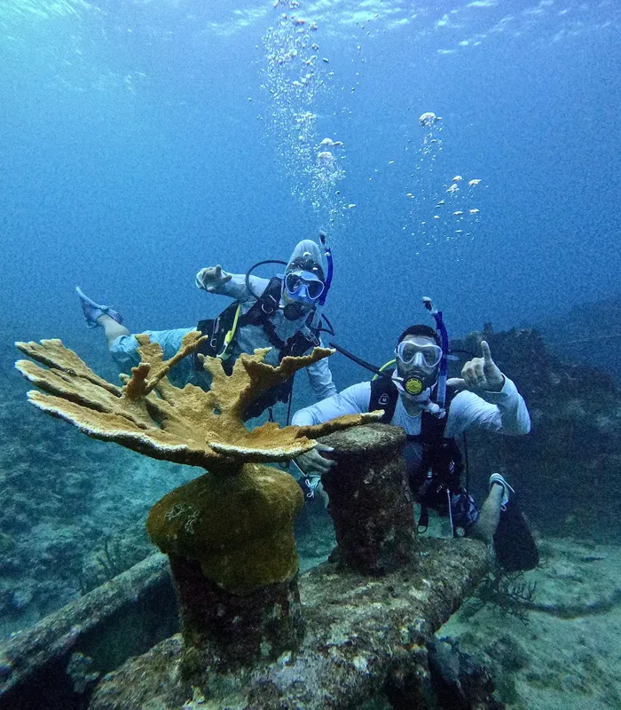 Deux plongeurs souriants font des signes devant un corail