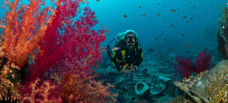 Plongeur explorant un récif corallien coloré avec de nombreux poissons
