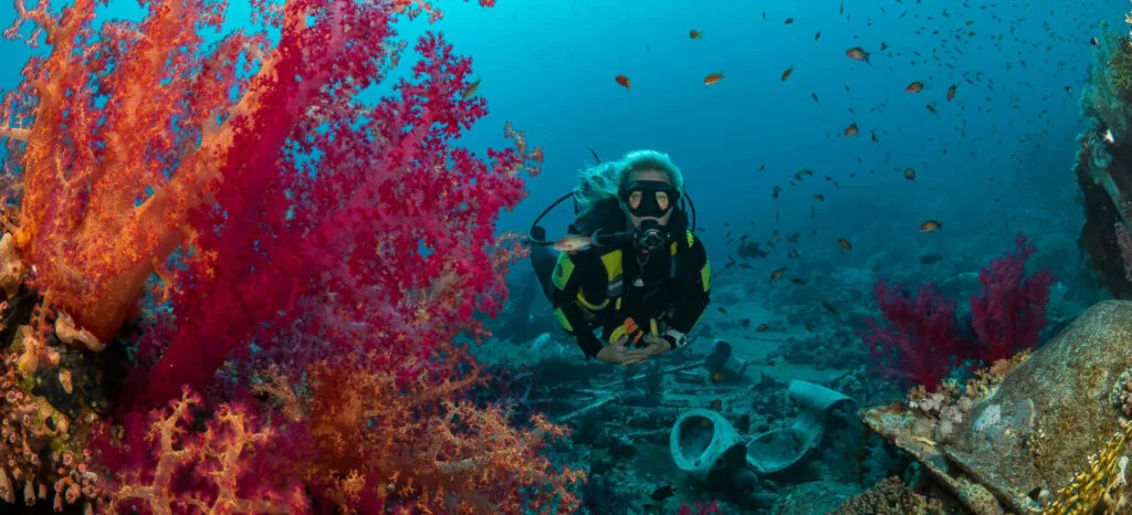 Camel Dive Club