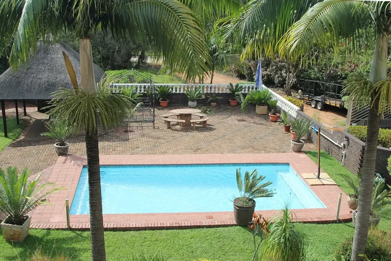 Piscine rectangulaire entourée de végétation luxuriante et de palmiers