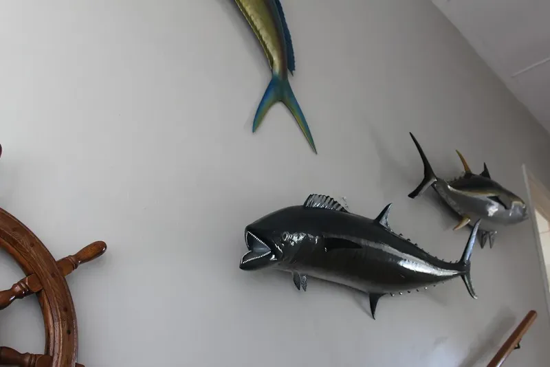 Trois poissons tropicaux décoratifs montés sur un mur blanc clair