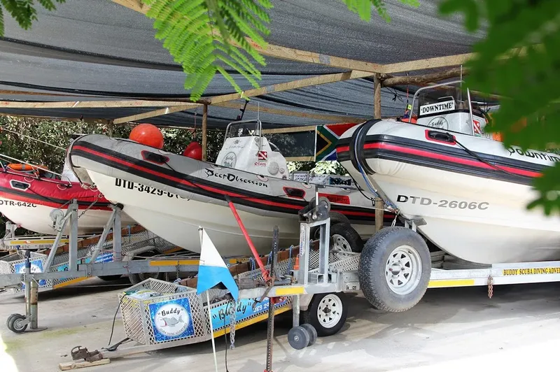Bateaux de plongée sur remorques, stationnés à l'ombre des arbres