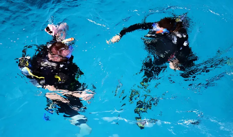 Deux plongeurs en combinaison nagent dans une eau turquoise claire