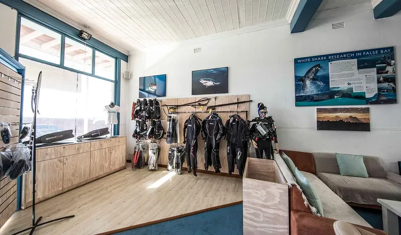 Intérieur d'un centre de plongée avec équipement et affiches sur les requins