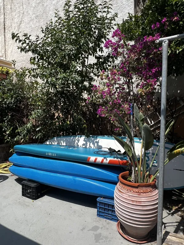 Planches de paddle bleu et vert reposent devant un mur végétal