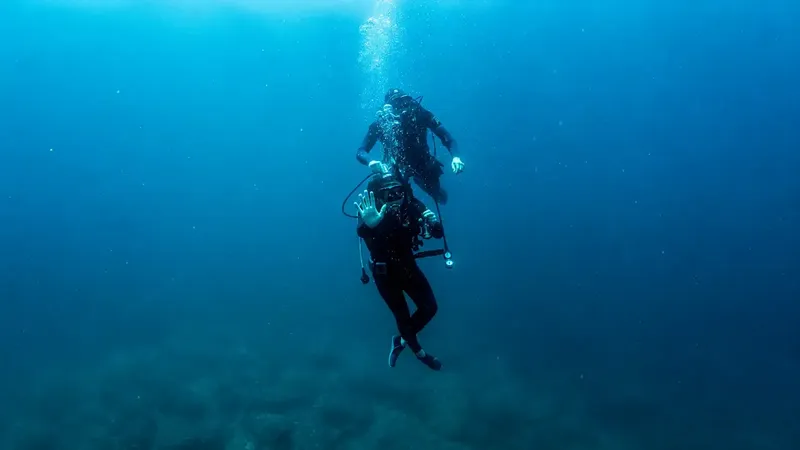 Deux plongeurs en combinaison noire flottent dans l'eau bleue