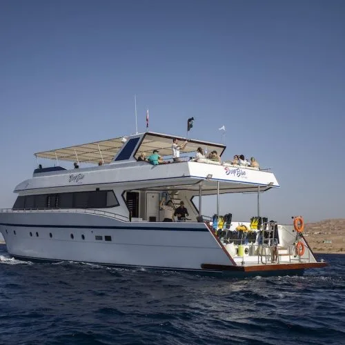 Grand bateau de plongée blanc en mer avec des passagers à bord