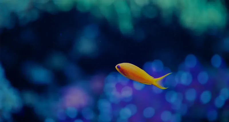Poisson jaune solitaire nageant dans un environnement sous-marin flou et coloré