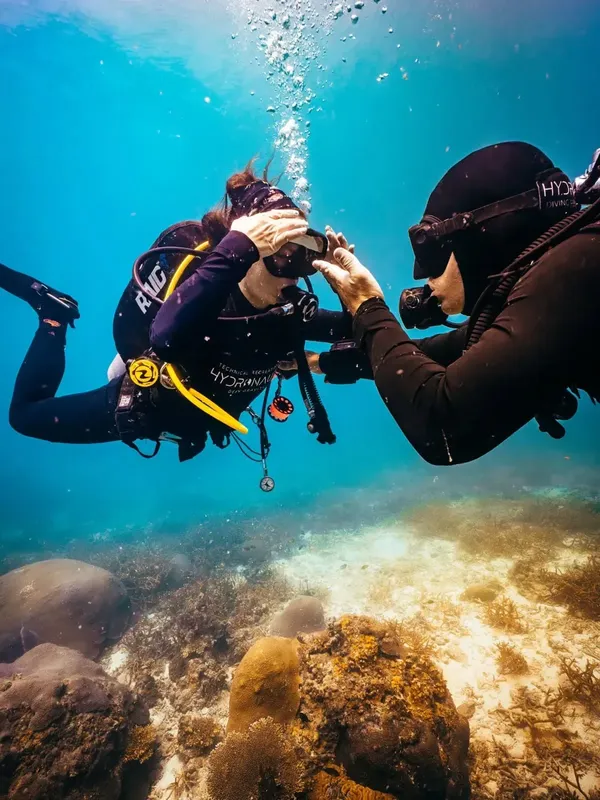 Deux plongeurs interagissent sous l'eau au-dessus d'un fond rocheux corallien