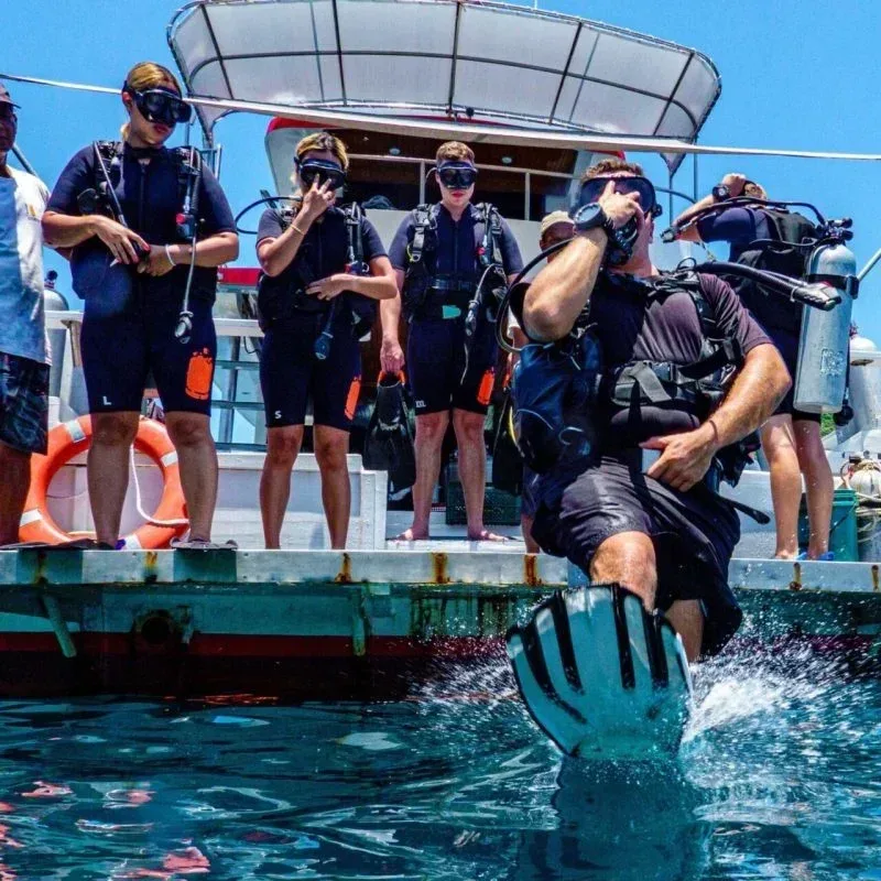 Plongeurs s'apprêtent à entrer dans l'eau depuis un bateau de plongée