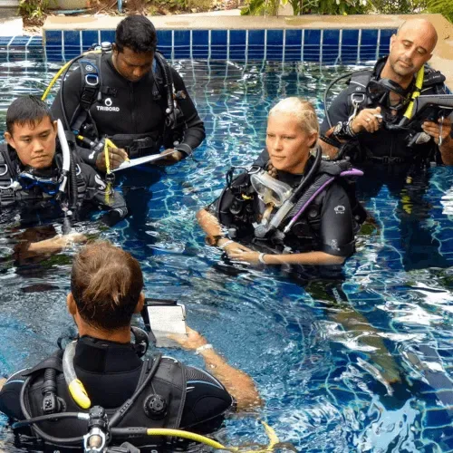 Instructeurs et élèves en formation plongée, équipés dans une piscine