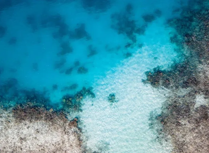 Vue aérienne d'un récif corallien turquoise et des vagues déferlantes
