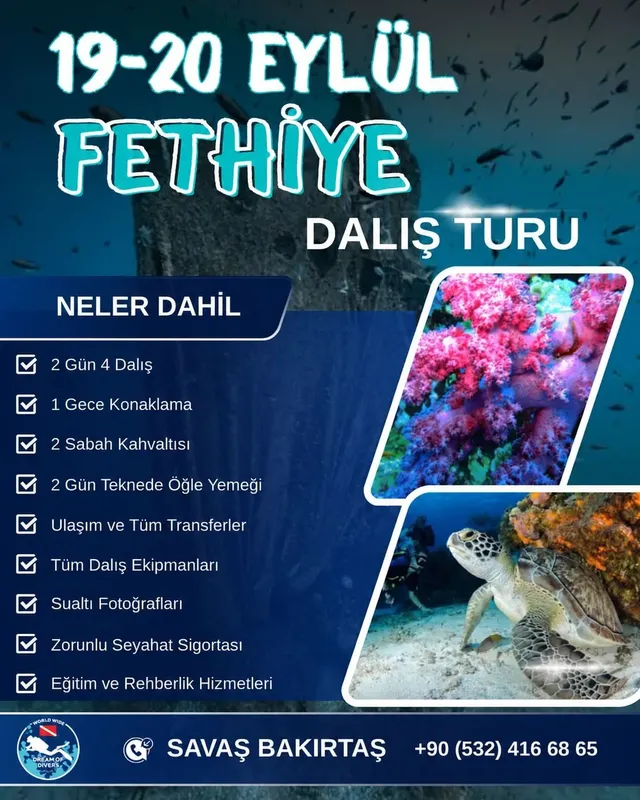 Poissons colorés et récif corallien dans une eau turquoise claire