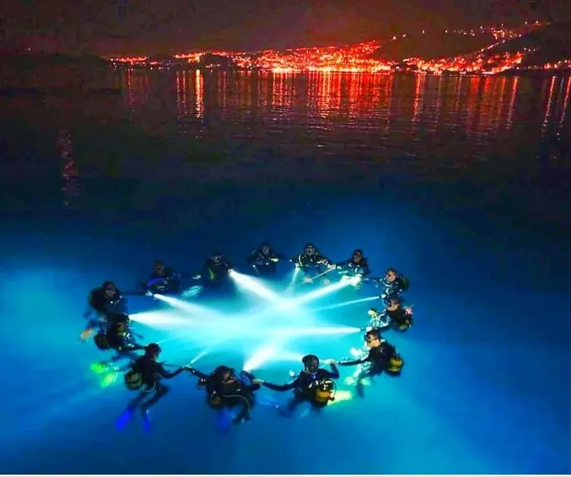 Plongeurs formant un cercle lumineux sous la surface de l'eau nocturne