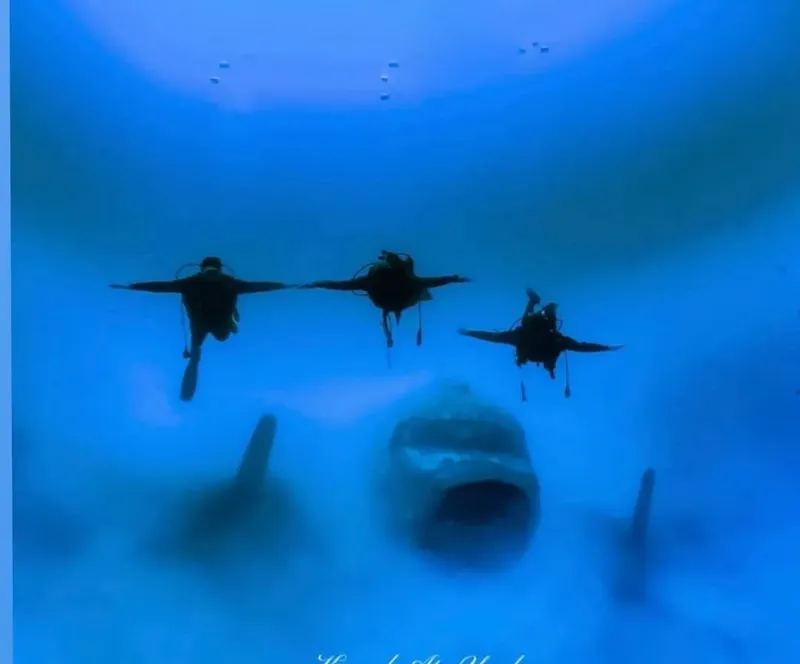 Trois plongeurs évoluent au-dessus d'un requin dans l'eau bleue