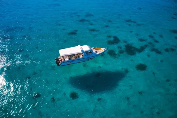 Bateau de plongée blanc et bleu navigue sur une mer turquoise claire
