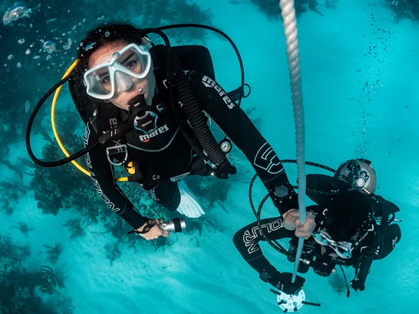 Deux plongeurs en combinaison explorent les profondeurs sous-marines turquoise