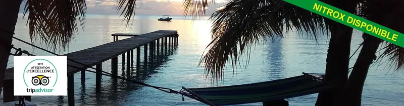 Jetée en bois, hamac, mer calme, coucher de soleil, ambiance tropicale