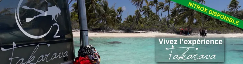 Plage tropicale avec des palmiers, des personnes et du matériel de plongée