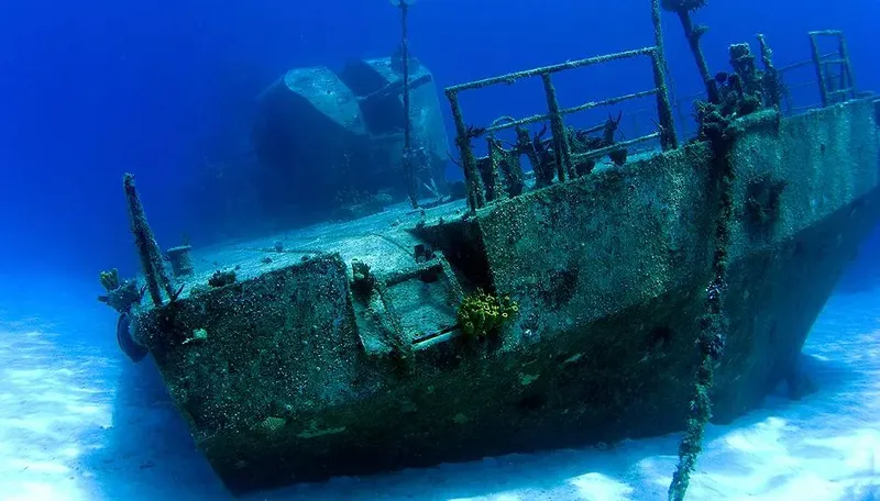 Épave de bateau colonisée par la vie marine au fond de l'océan