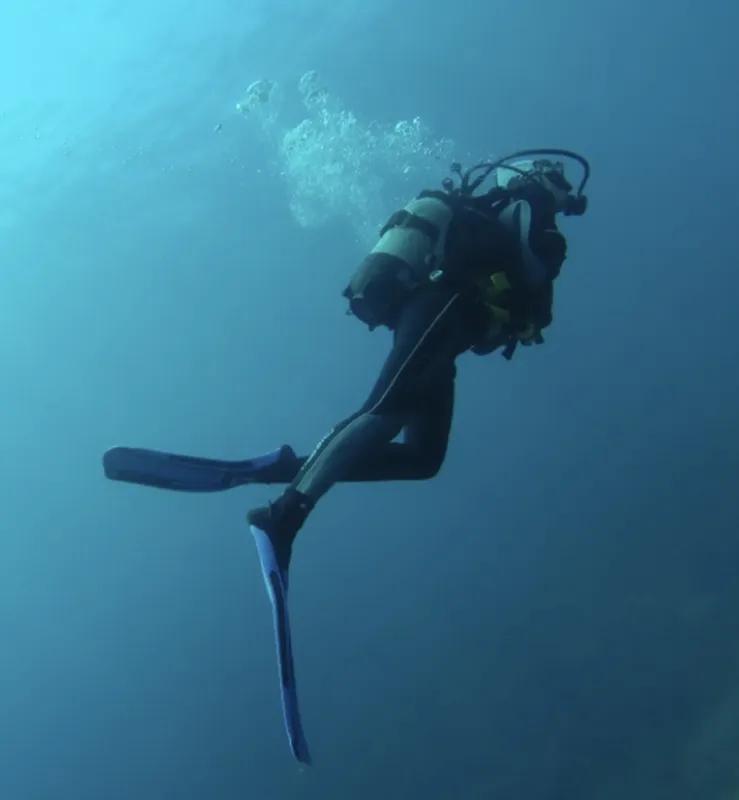 Plongeur en combinaison noire nageant dans une eau bleu profond
