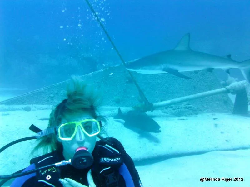 Plongeuse face à un requin dans un aquarium bleu clair