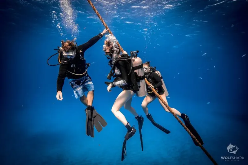Trois plongeurs s'accrochent à une corde sous l'eau en pleine mer