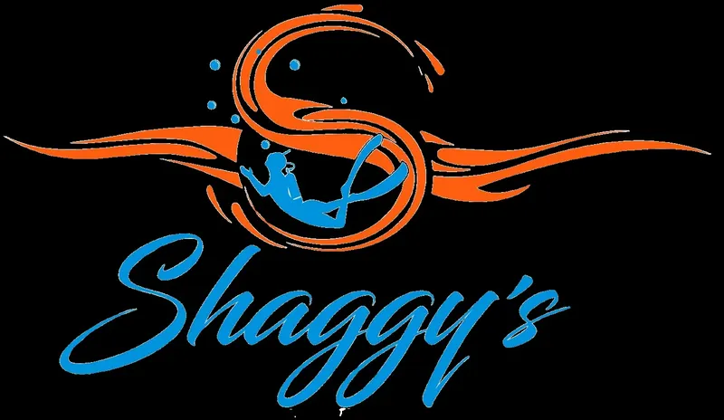 Plongeur stylisé intégré dans un logo tourbillonnant aux couleurs vives