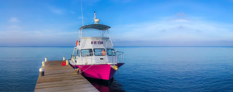 Bateau de plongée rose et blanc amarré à un ponton en bois