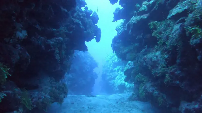 Vue sous-marine d'une faille rocheuse éclairée par le soleil