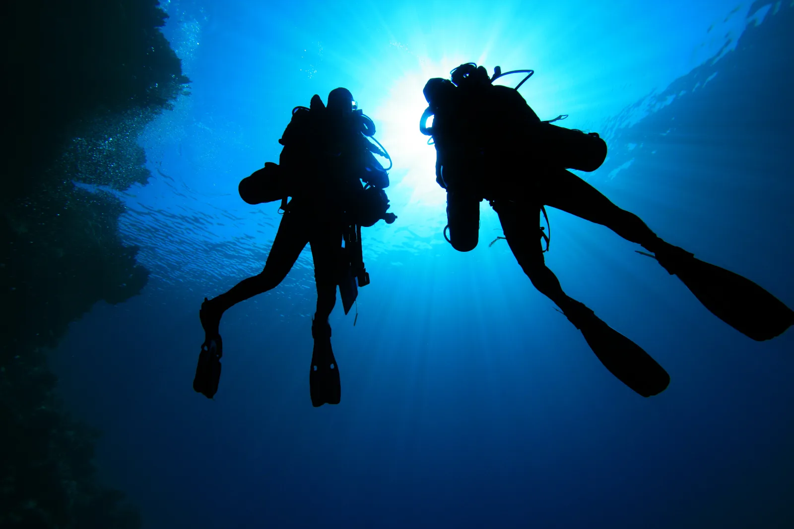 Tamarindo Diving