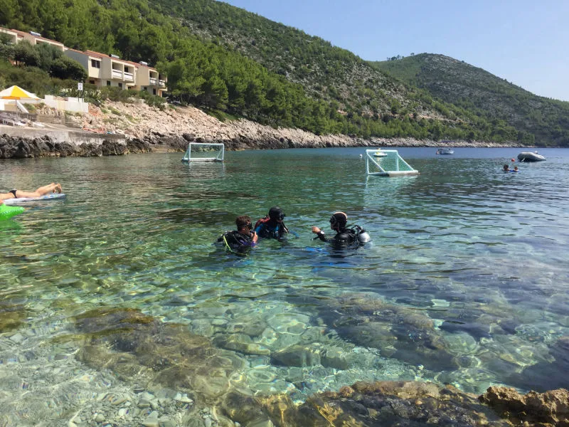 Plongeurs en surface près du rivage avec des buts flottants