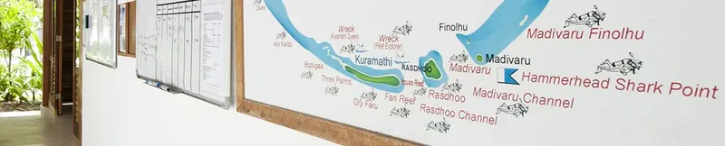 Carte murale illustrant des sites de plongée avec des dessins de poissons
