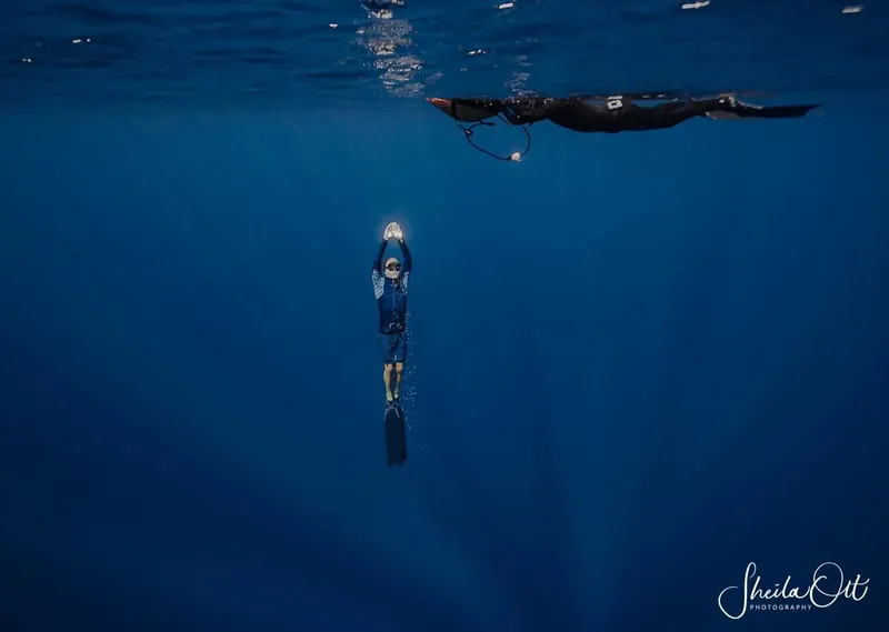 Deux apnéistes en combinaison plongent dans une eau bleue profonde