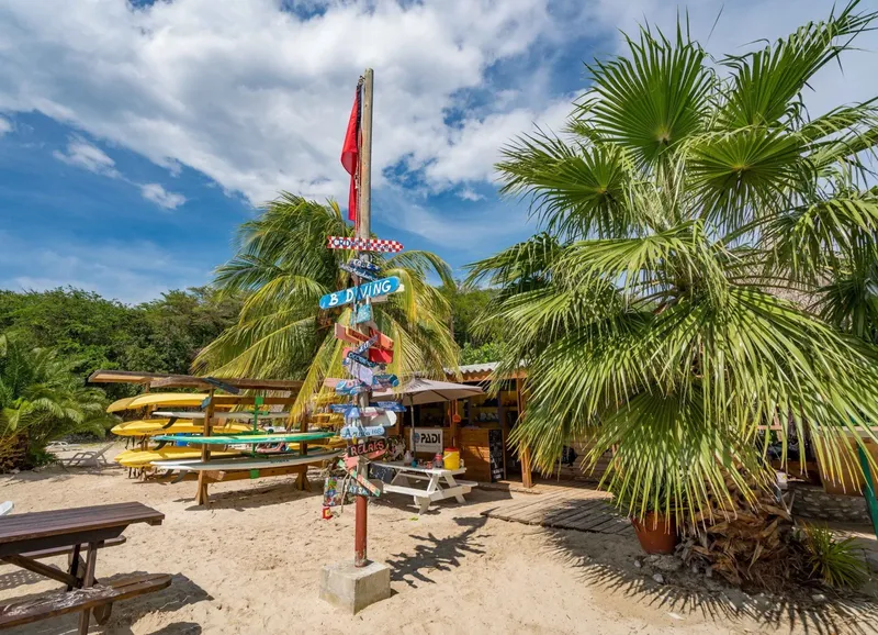 Centre de plongée tropical avec kayaks, palmiers et enseignes colorées