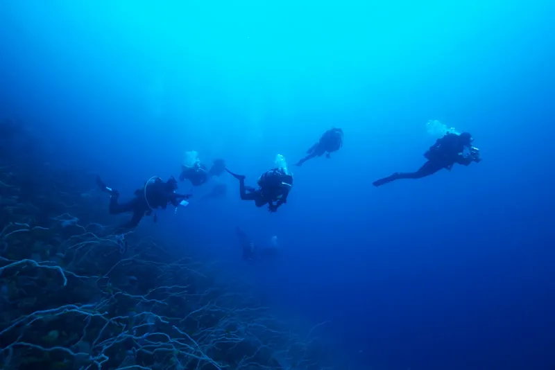 Groupe de plongeurs explorant un fond marin bleu et rocheux