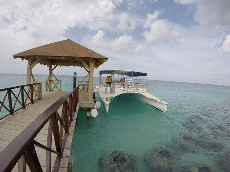 Catamaran amarré à un ponton en bois sous un abri ensoleillé