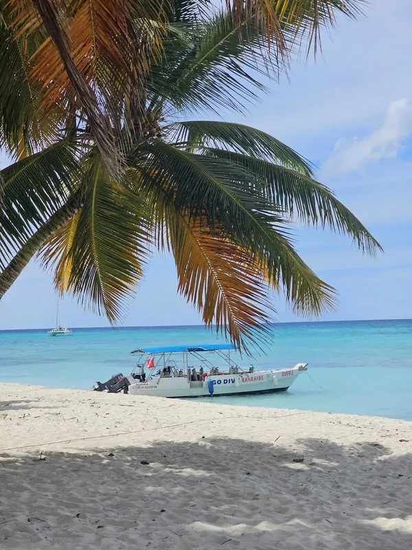 Plage de sable blanc avec un bateau de plongée et palmiers