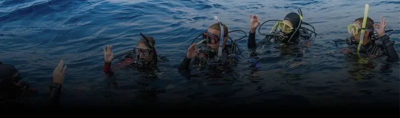 Plongeurs en surface, équipés, communiquent avec leurs mains dans l'eau